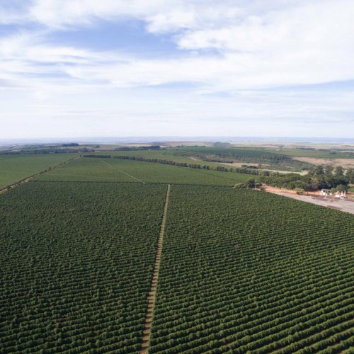 Farms
