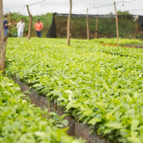 Farms