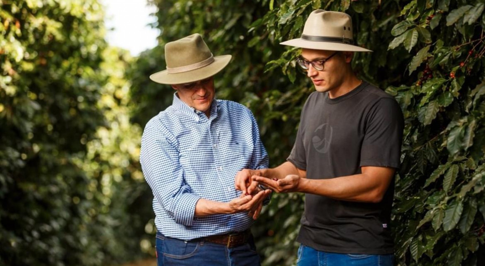In the farm, we closely examine every detail. In the farm, we closely examine every detail.