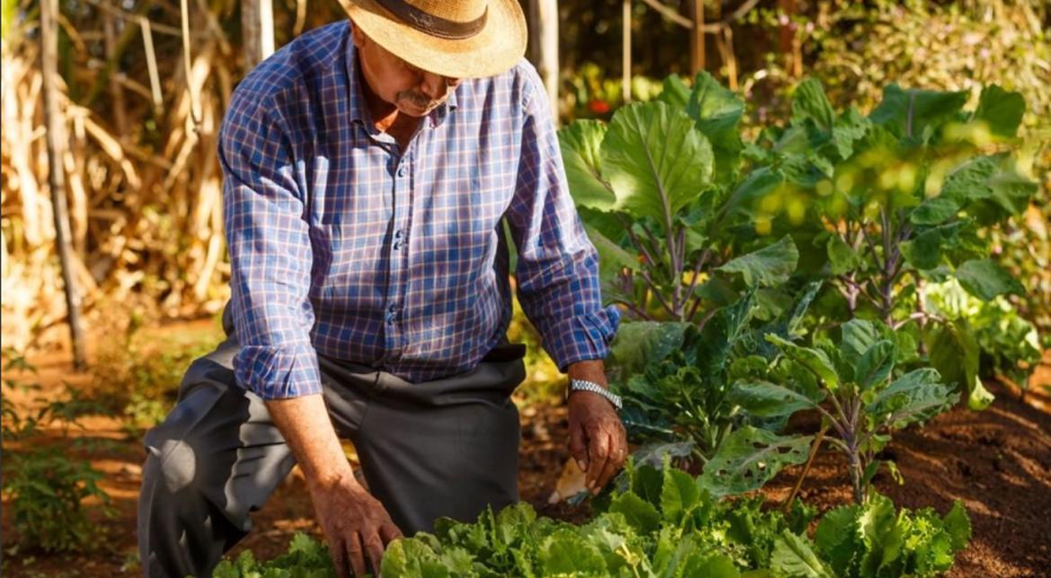 Mr. Dito is one of our oldest employees.